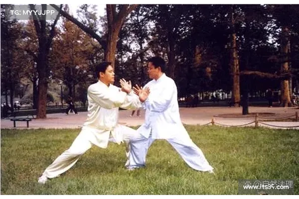 武林大会:太极拳传承与创新的时代对决 武林大会:太极拳传承与创新的时代对决